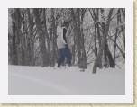Andy Nay Japan Snowboarding Bandi Alti 302 204 * 640 x 480 * (129KB)